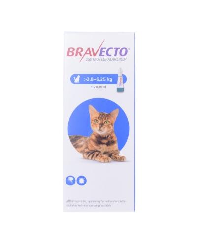 Bravecto 250 mg påflekkingsvæske, oppløsning for mellomstore katter endosepipette 0,89ml - 1